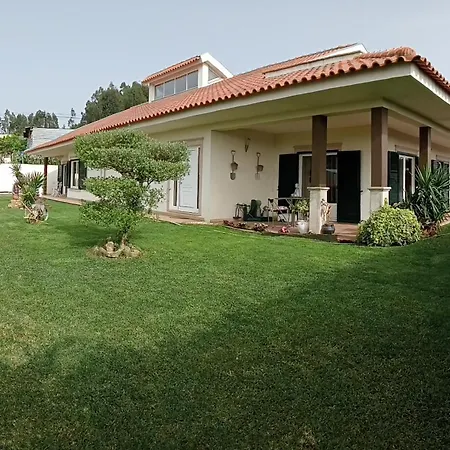 Terreno Mimosas *