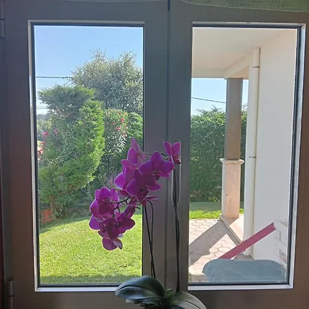 Terreno Mimosas أفيرو