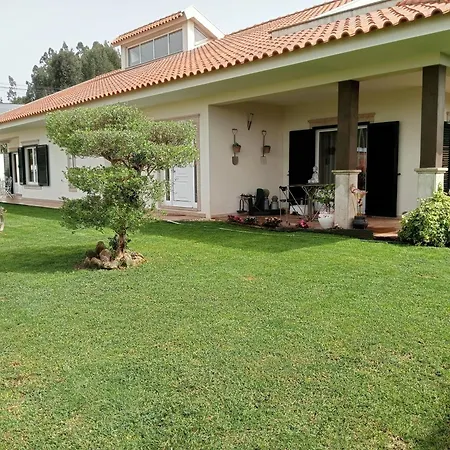 Terreno Mimosas Aveiro