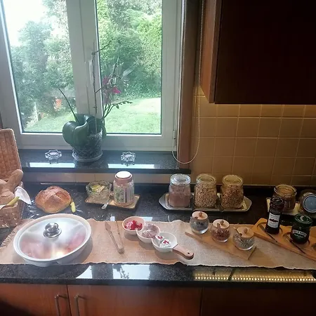 Terreno Mimosas Séjour chez l'habitant Aveiro