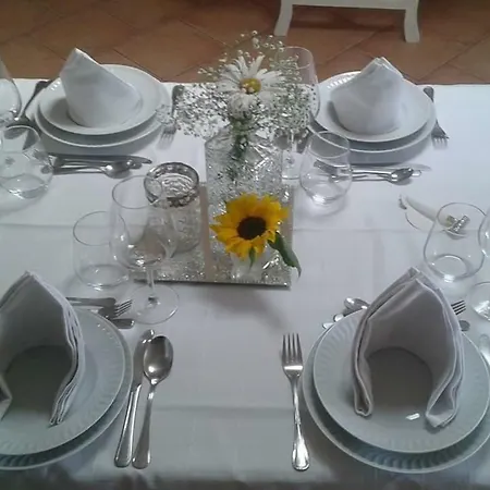 Séjour chez l'habitant Terreno Mimosas Aveiro