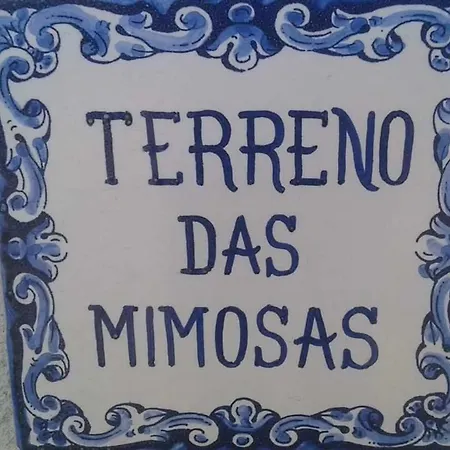 Terreno Mimosas ホームステイ