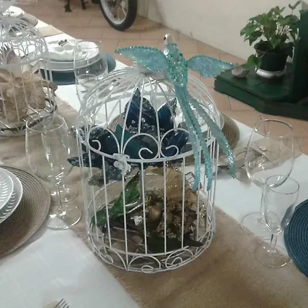 Terreno Mimosas ホームステイ *