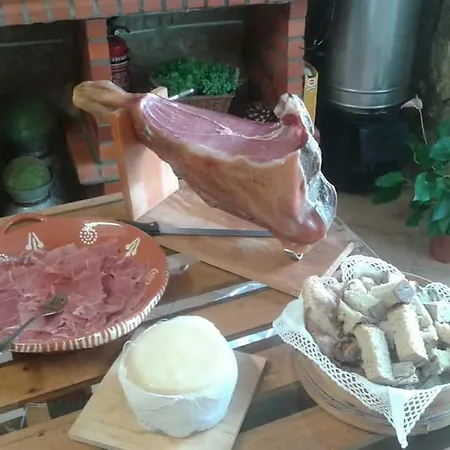 Terreno Mimosas Aveiro