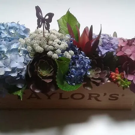 ホームステイ Terreno Mimosas *