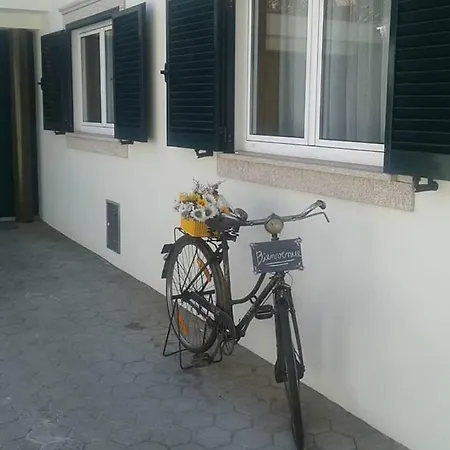 Terreno Mimosas Séjour chez l'habitant Aveiro