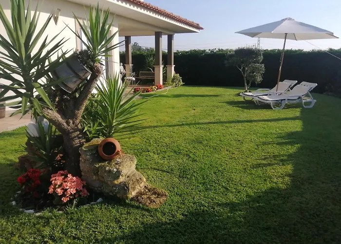 Terreno Mimosas Aveiro