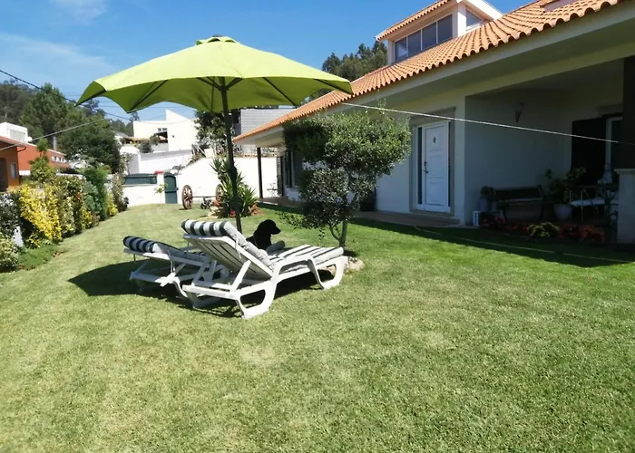 Terreno Mimosas Accommodatie bij particulieren Aveiro