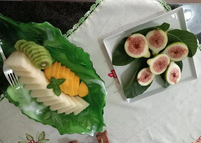 홈스테이 Terreno Mimosas 아베이루