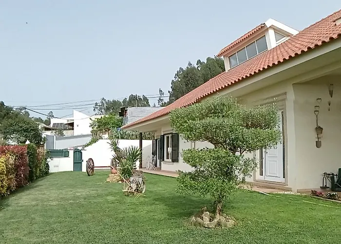 Terreno Mimosas Pansiyon