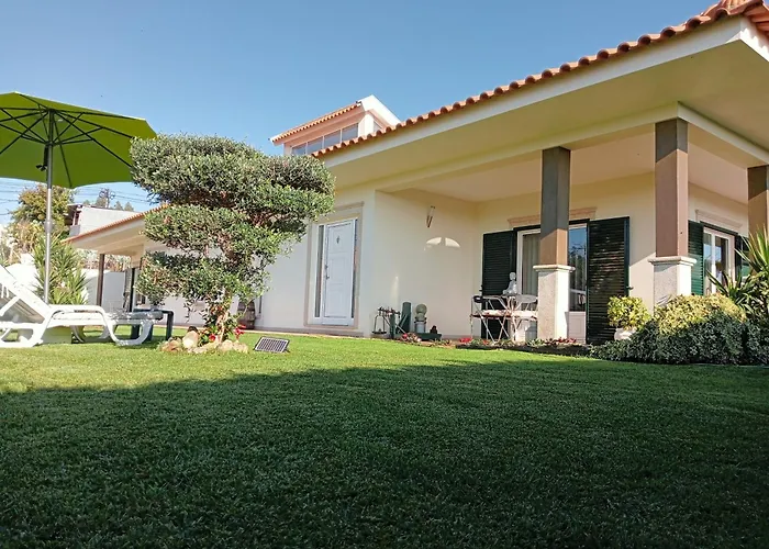 Terreno Mimosas Accommodatie bij particulieren Aveiro