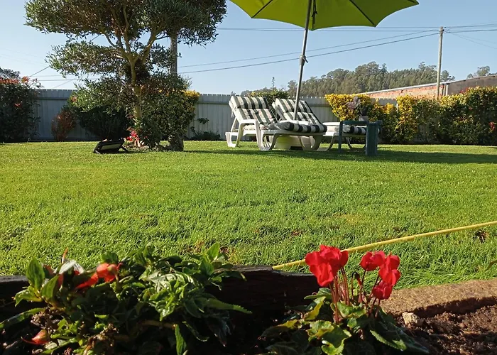 Terreno Mimosas *