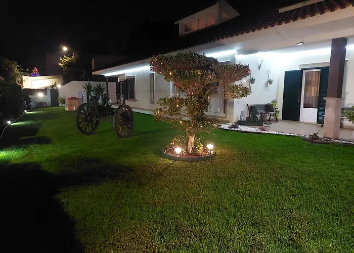 Terreno Mimosas Pansiyon