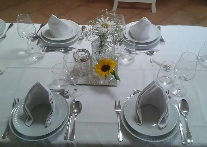 Accommodatie bij particulieren Terreno Mimosas Aveiro