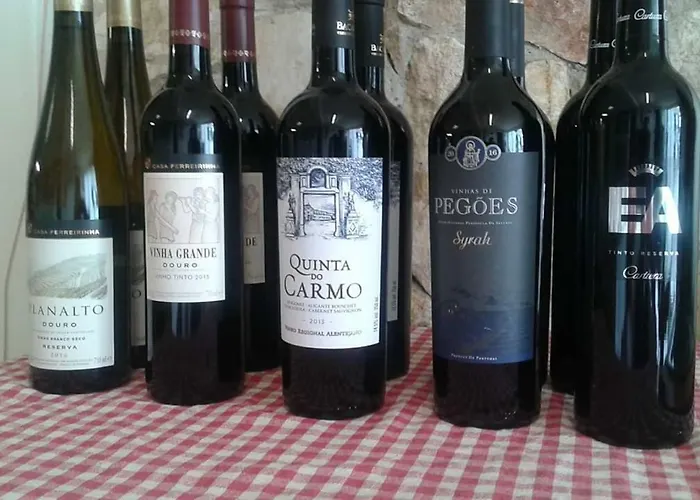 Pansiyon Terreno Mimosas *