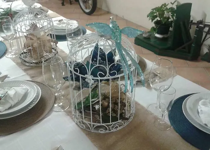 Terreno Mimosas Pansiyon *