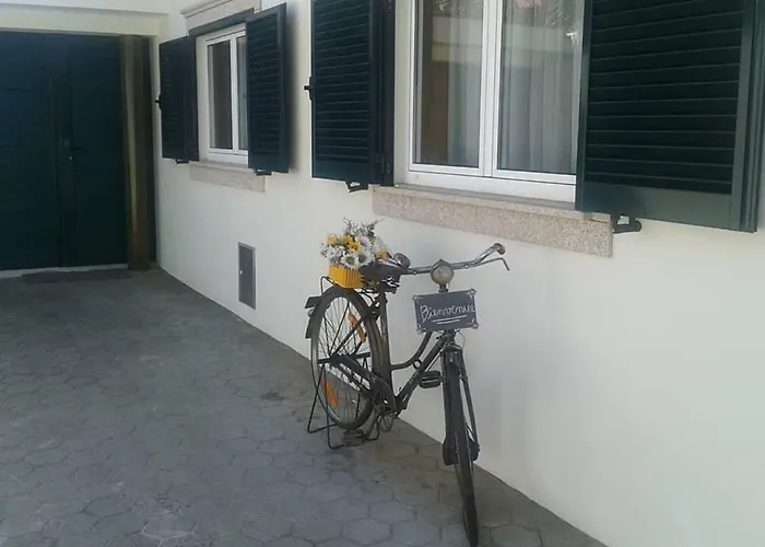 Terreno Mimosas Pansiyon Aveiro